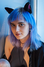 Blue kitten